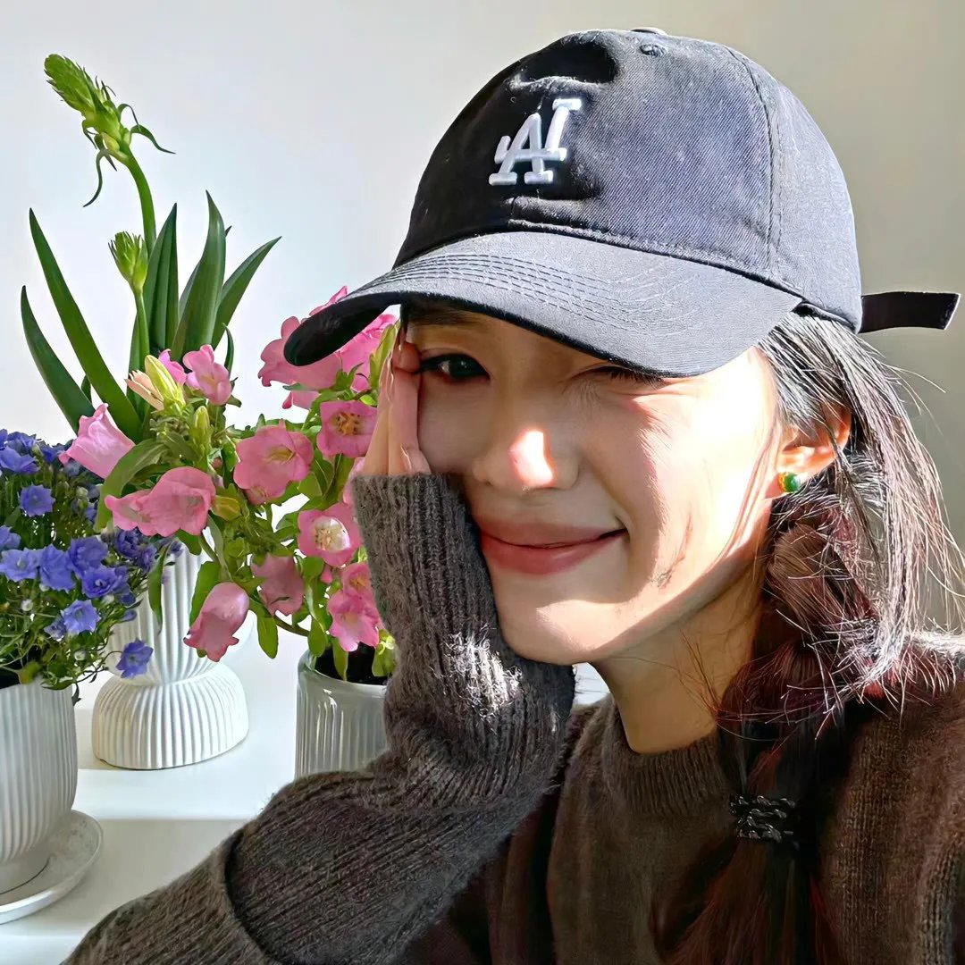 偏爱之律封面