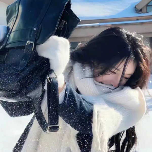 战斗妖精雪风封面