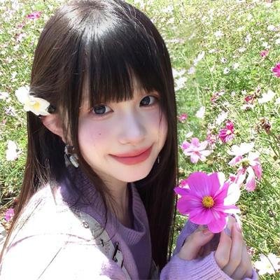 再见维也纳封面